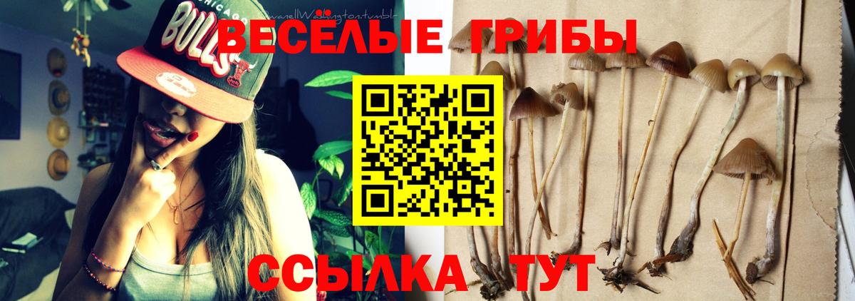 закладка  Псилоцибиновые грибы MAGIC MUSHROOMS  Псилоцибиновые грибы мицелий  Вход с VPN  Советская Гавань 