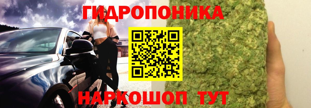 Бошки марихуана MAZAR  Вход с VPN  МАРИХУАНА семена  Конопля MAZAR  Советская Гавань 